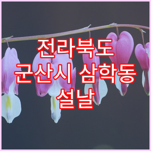 전라북도 군산시 삼학동 설날 명절 연휴 당직약국 삼학동 먹자골목·금광동 주변 야간 응급약 구매 가능 약국