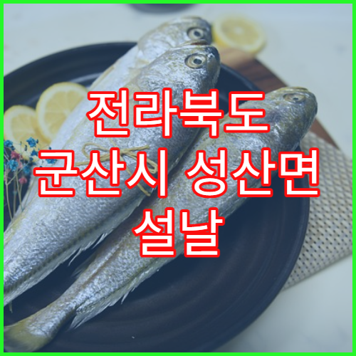 전라북도 군산시 성산면 설날 명절 연휴 당직약국 성산면·금강변 주변 심야 운영 감기약 취급 약국 정보