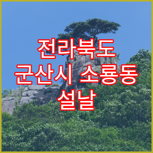 전라북도 군산시 소룡동 설날 명절 연휴 당번약국 소룡초등학교·비응도 인근 야간 응급약 판매 약국 위치