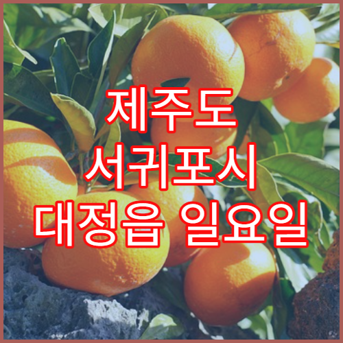 제주도 서귀포시 대정읍 일요일 영업 약국 항생제·안약 조제 가능