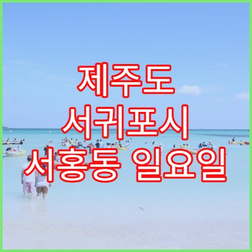 제주도 서귀포시 서홍동 일요일 영업 약국 위장약·지사제 판매 안내