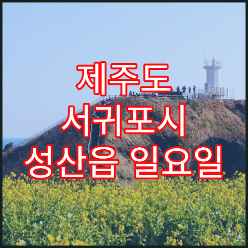 제주도 서귀포시 성산읍 일요일 문 여는 약국 여행 상비약·멀미약 구매
