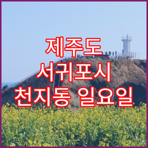제주도 서귀포시 천지동 일요일 당직 약국 어린이 약 조제 가능