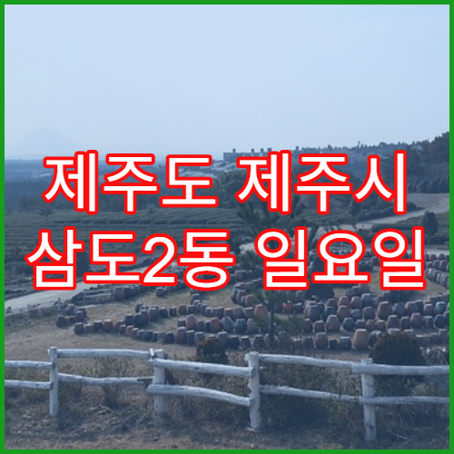 제주도 제주시 삼도2동 일요일 문 여는 약국 어린이 감기약 판매