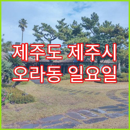 제주도 제주시 오라동 일요일 영업 약국 감기몸살약 상담 가능