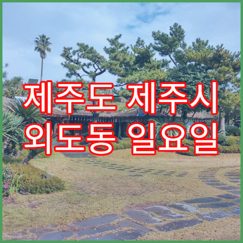 제주도 제주시 외도동 일요일 문 여는 약국 지사제·장염약 판매