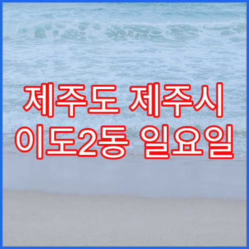 제주도 제주시 이도2동 일요일 문 여는 약국 항히스타민제 판매