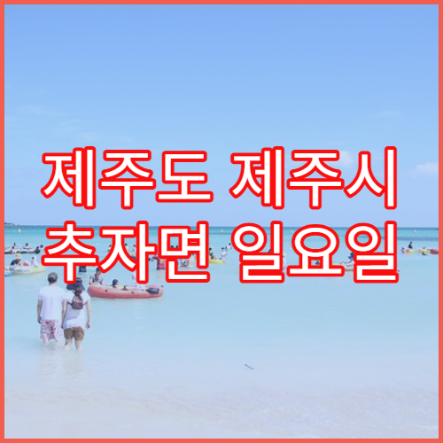 제주도 제주시 추자면 일요일 영업 약국 여행 응급상비약 구매 안내