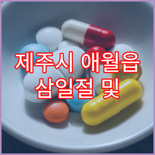 제주시 애월읍 삼일절 및 대체공휴일 당번 약국 위치 확인