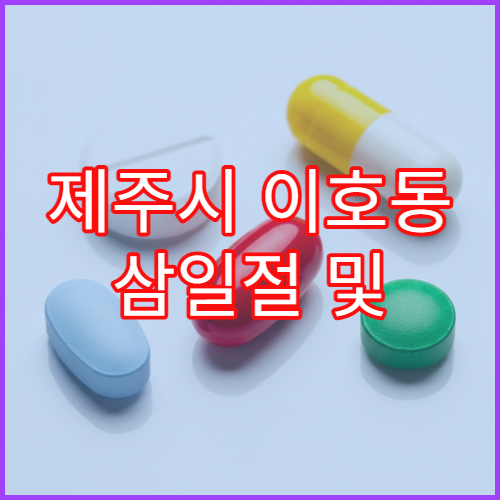 제주시 이호동 삼일절 및 대체공휴일 문 여는 당번 약국 안내