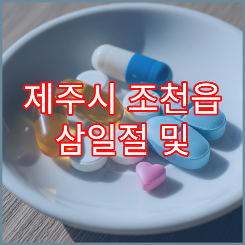 제주시 조천읍 삼일절 및 대체공휴일 이용 가능한 약국 안내