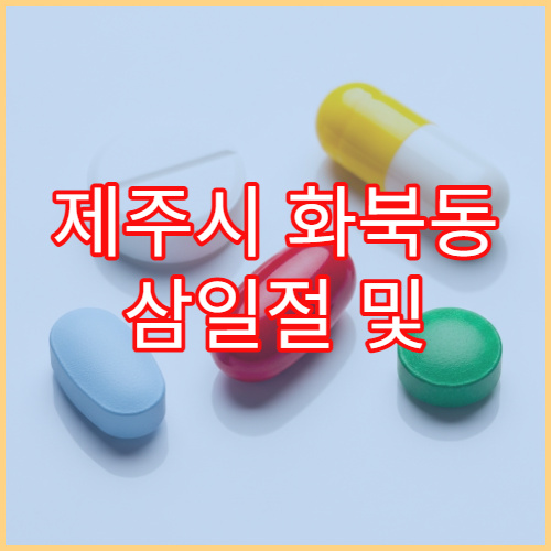 제주시 화북동 삼일절 및 대체공휴일 당직 약국 찾기