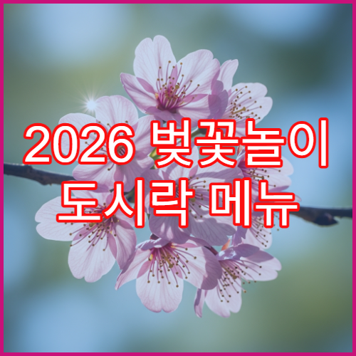 2026 벚꽃놀이 도시락 메뉴 추천 및 다이소 피크닉 용품 꿀템