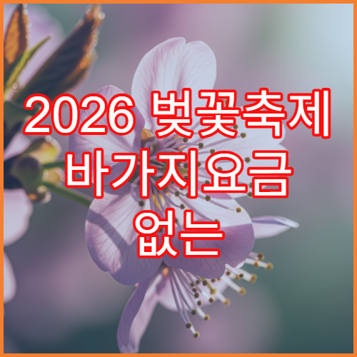 2026 벚꽃축제 바가지요금 없는 착한 지역 축제 리스트