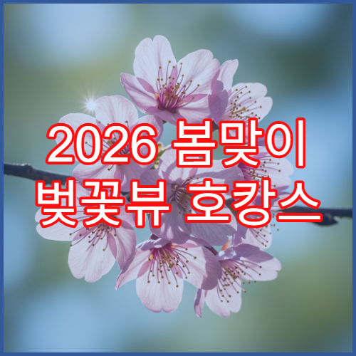 2026 봄맞이 벚꽃뷰 호캉스 추천 (룸에서 벚꽃이 보이는 호텔)