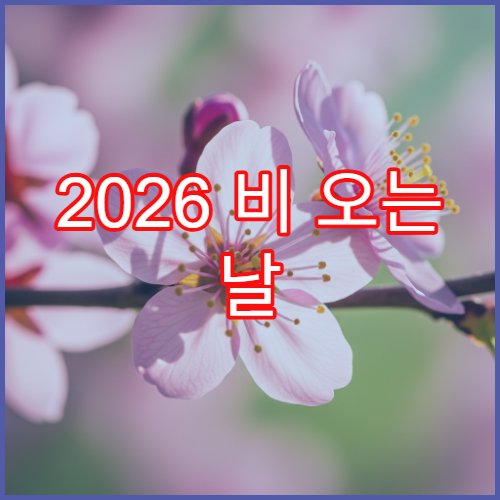 2026 비 오는 날 벚꽃 데이트, 벚꽃 뷰 실내 카페 추천 리스트