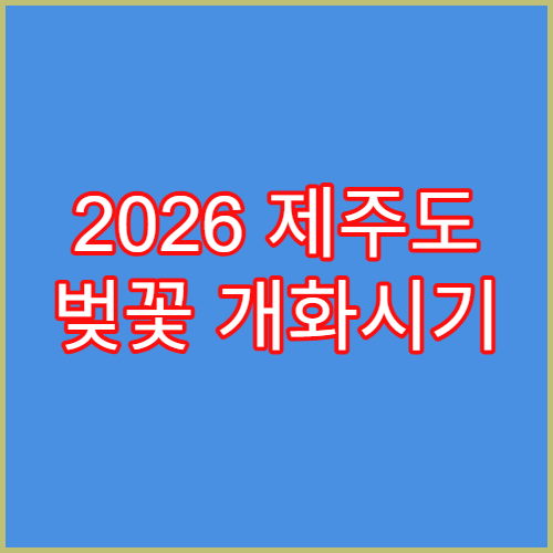 2026 제주도 벚꽃 개화시기 및 전농로 벚꽃거리 실시간 상황