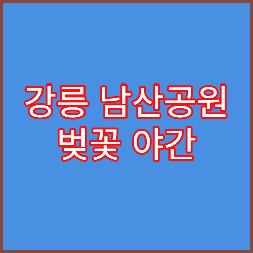 강릉 남산공원 벚꽃 야간 명소 및 오죽헌 근처 감성 숙소