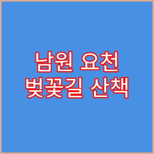 남원 요천 벚꽃길 산책 및 춘향테마파크 근처 남원 추어탕 맛집