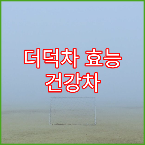 더덕차 효능 건강차 추천