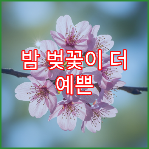 밤 벚꽃이 더 예쁜 전국 야간 벚꽃 명소 드라이브 코스 5곳