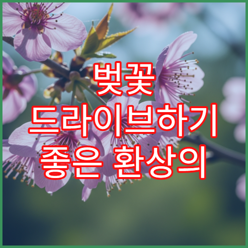 벚꽃 드라이브하기 좋은 환상의 코스 3곳 (차에서 안 내려도 예쁜 곳)