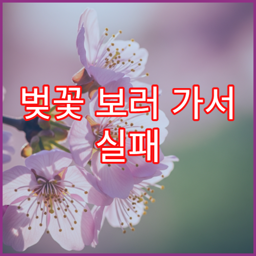 벚꽃 보러 가서 실패 없는 데이트 코스 짜는 법 (식당, 카페 예약 팁)