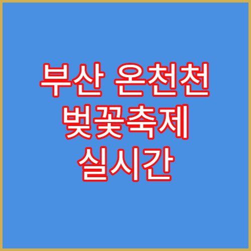 부산 온천천 벚꽃축제 실시간 만개 상황 및 애견동반 식당 추천