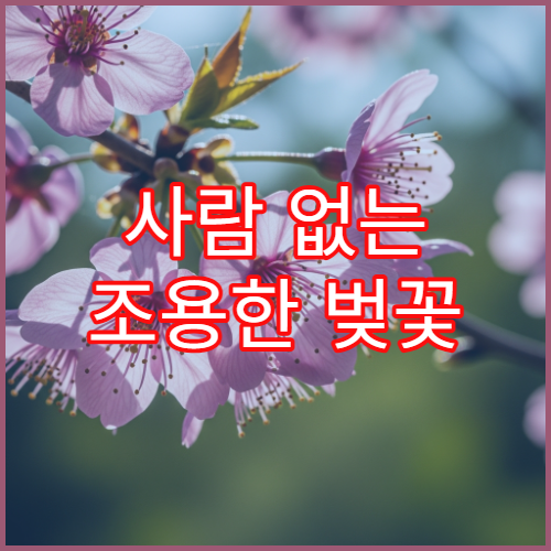 사람 없는 조용한 벚꽃 숨은 명소 3곳 (서울 근교 나만 알고 싶은 곳)