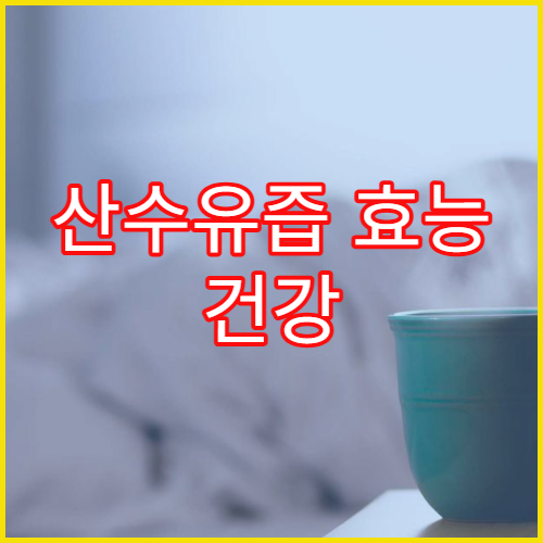 산수유즙 효능 건강 정보