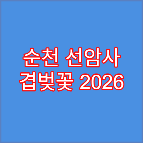 순천 선암사 겹벚꽃 2026 만개 시기 및 조용한 사찰 산책