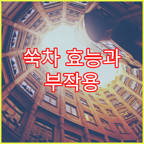 쑥차 효능과 부작용 제대로 알기