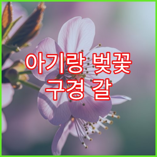 아기랑 벚꽃 구경 갈 때 필수 준비물 및 유모차 밀기 좋은 벚꽃길