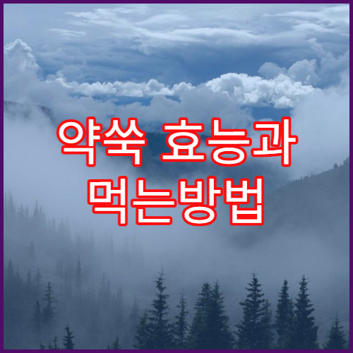 약쑥 효능과 먹는방법 쑥차 만드는법
