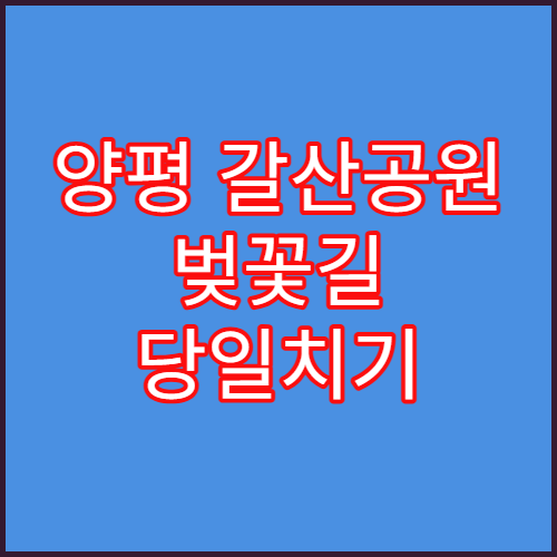 양평 갈산공원 벚꽃길 당일치기 나들이 및 남한강 뷰 베이커리
