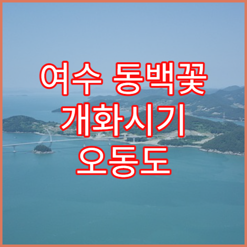 여수 동백꽃 개화시기 오동도 동백꽃 명소