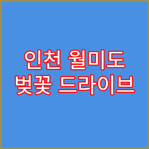 인천 월미도 벚꽃 드라이브 코스 및 바다뷰 카페 추천