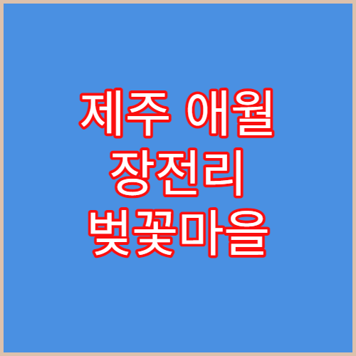 제주 애월 장전리 벚꽃마을 사진 찍기 좋은 스냅 촬영 명소