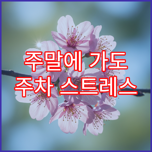 주말에 가도 주차 스트레스 없는 지방 벚꽃 숨은 명소 추천