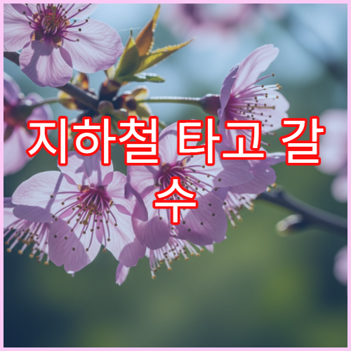 지하철 타고 갈 수 있는 뚜벅이 벚꽃 여행지 추천 (서울/경기 편)